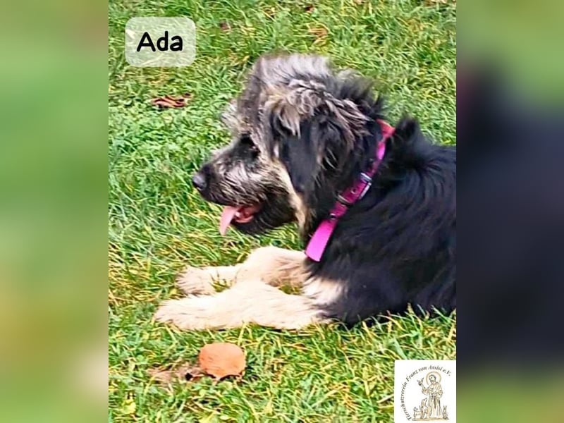 Ada – das Mädchen mit der Frisur, die alle Blicke fängt!