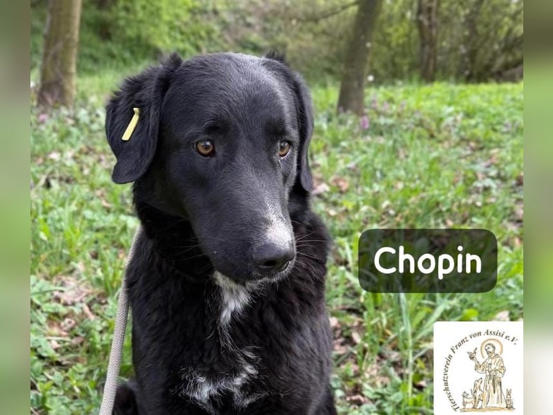 Chopin – ein sanfter Riese mit großem Herzen!