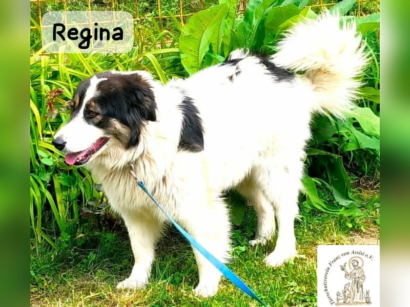 Regina – sie wollte nie allein sein!