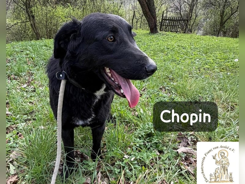 Chopin – ein sanfter Riese mit großem Herzen!