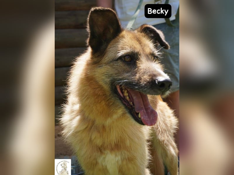 Becky – Eine Lady zum Verlieben, so schön wie das Leben selbst!