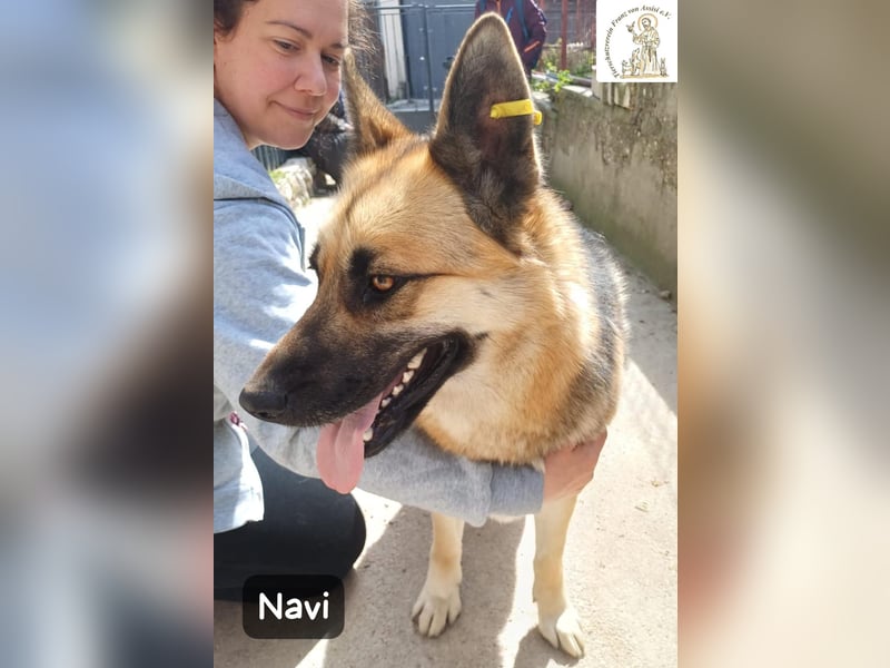Navi – stark, sensibel, besonders – sucht ihr Gegenstück!