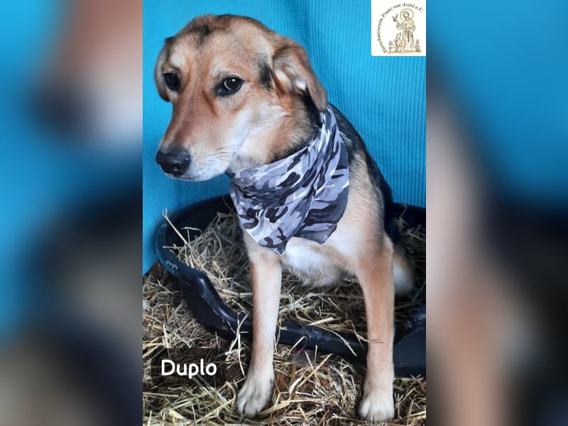 Duplo – leise starten, gemeinsam wachsen!