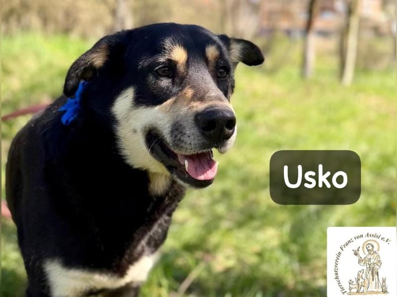 Usko – der, der lernen möchte, wie Leben wirklich geht!