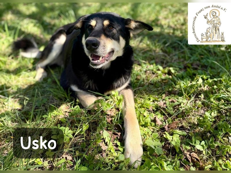 Usko – der, der lernen möchte, wie Leben wirklich geht!