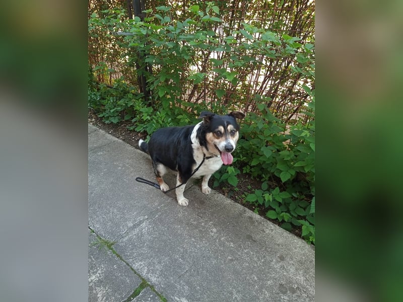 Waisenkinder Bobi und Mrki