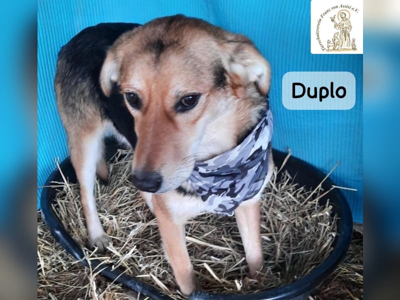 Duplo – leise starten, gemeinsam wachsen!