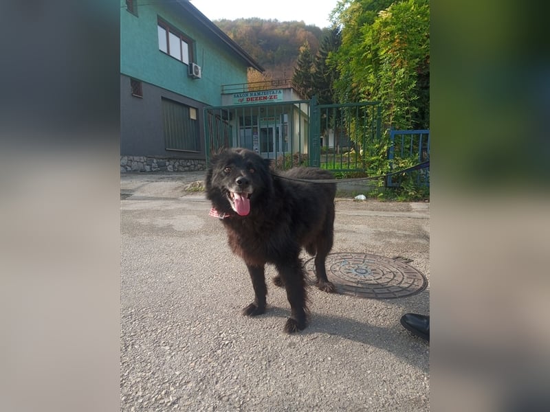 Waisenkinder Bobi und Mrki