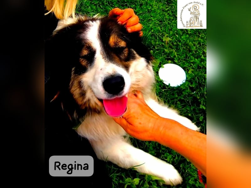 Regina – sie wollte nie allein sein!