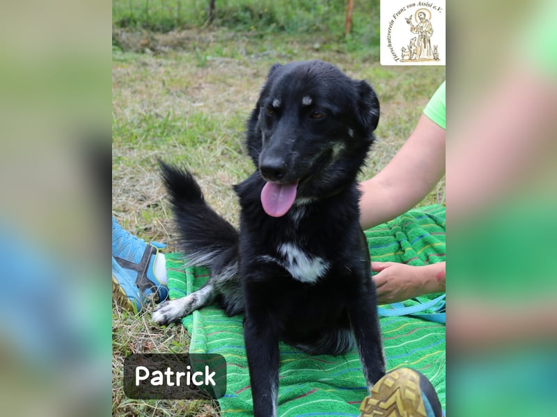Patrick – Mut, ein bisschen Neugier und schon kann das Abenteuer beginnen!