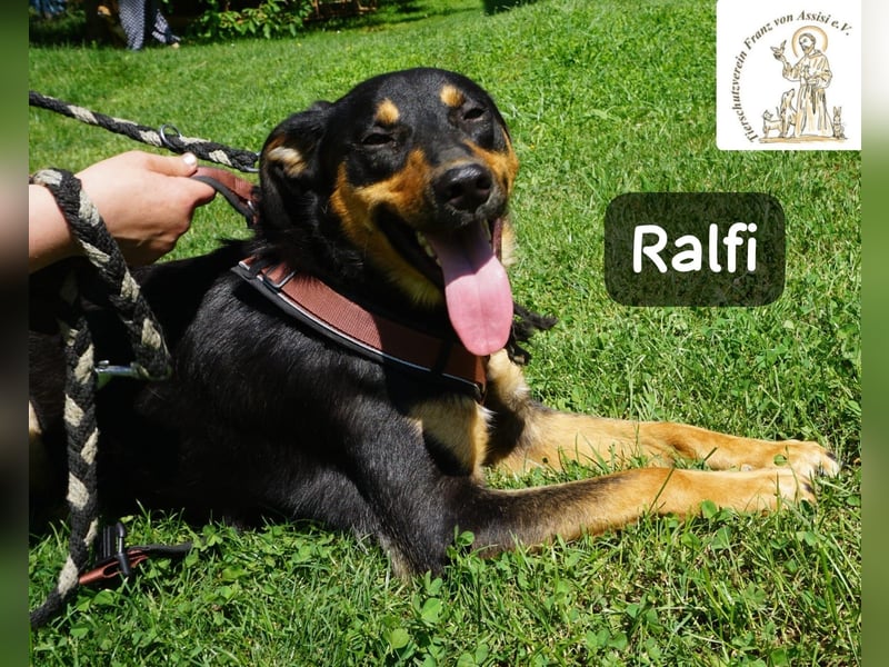 Ralfi – Für manche Hunde gibt es einfach nicht die richtigen Worte!