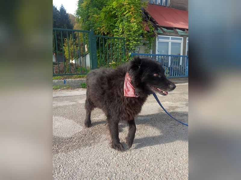 Waisenkinder Bobi und Mrki