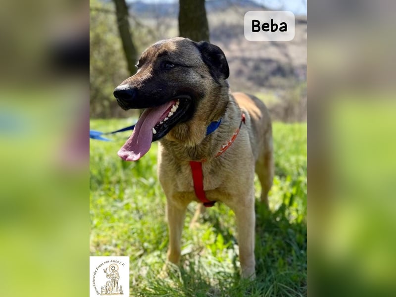 Beba – für Menschen, die das Echte suchen!