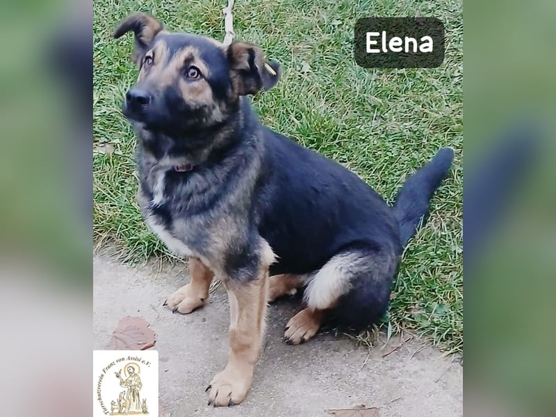 Elena – so sanft, als hätte sie das Leben schon verstanden!