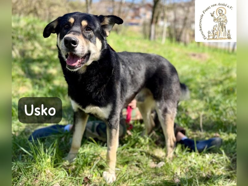 Usko – der, der lernen möchte, wie Leben wirklich geht!