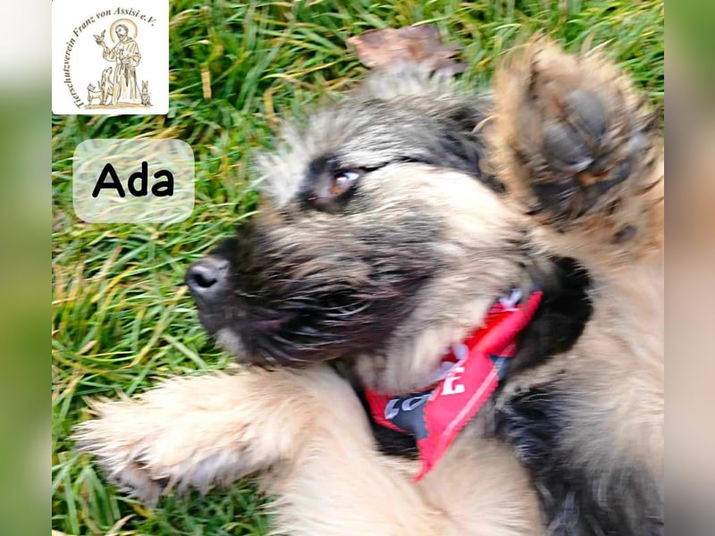 Ada – das Mädchen mit der Frisur, die alle Blicke fängt!