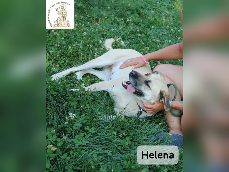 Helena – Schönheit mit Charakter & einem ganz besonderen Lächeln!
