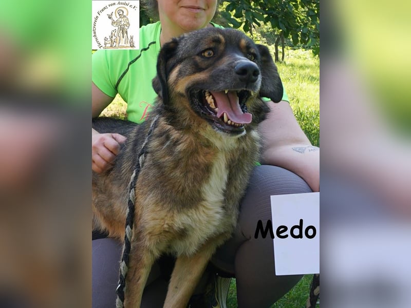 Medo – Spiel, Spaß, Spannung – und Lernen darf auch dabei sein!