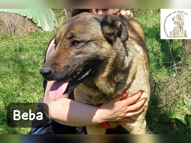 Beba – für Menschen, die das Echte suchen!