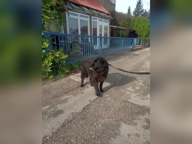 Waisenkinder Bobi und Mrki