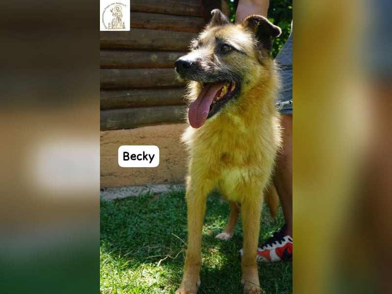 Becky – Eine Lady zum Verlieben, so schön wie das Leben selbst!