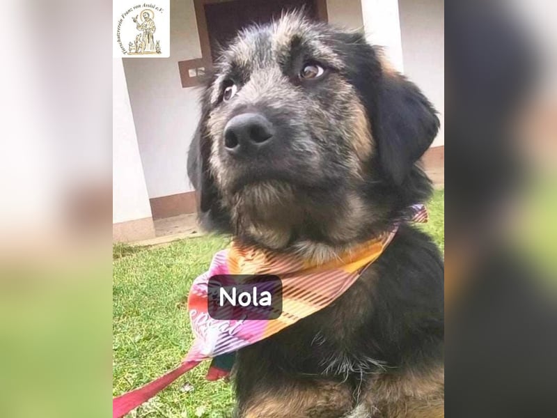 Nola – ist bereit, wenn du es bist!