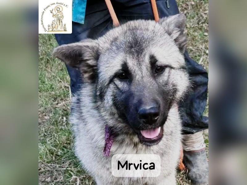 Mrvica – Schönheit mit Neugier auf das große Leben!