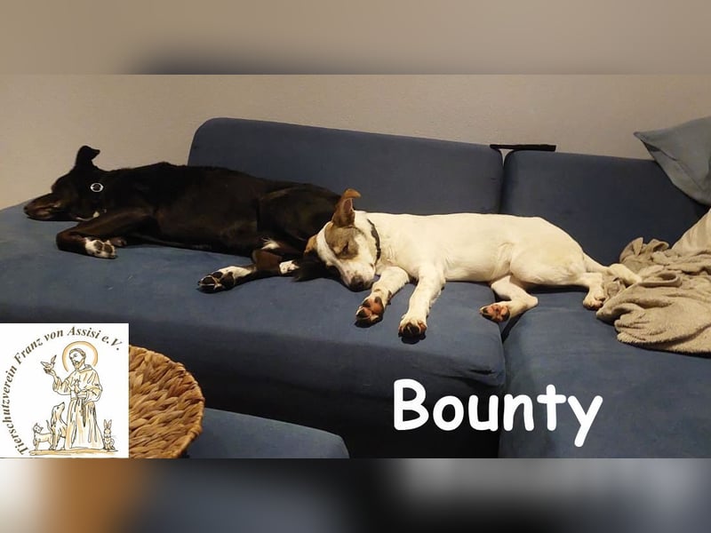 Bounty wird mutig und entdeckt die Welt