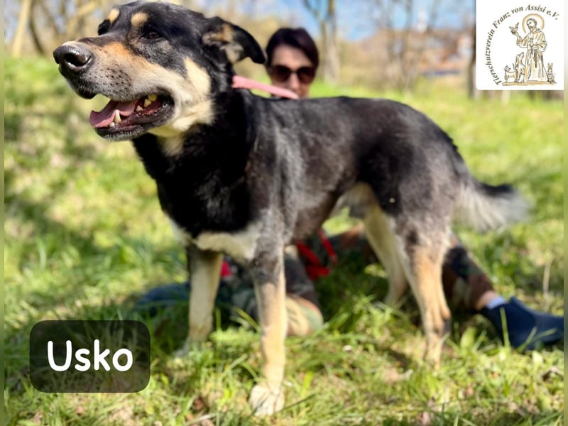 Usko – der, der lernen möchte, wie Leben wirklich geht!