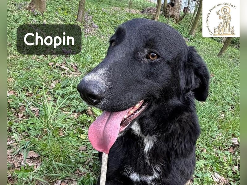 Chopin – ein sanfter Riese mit großem Herzen!