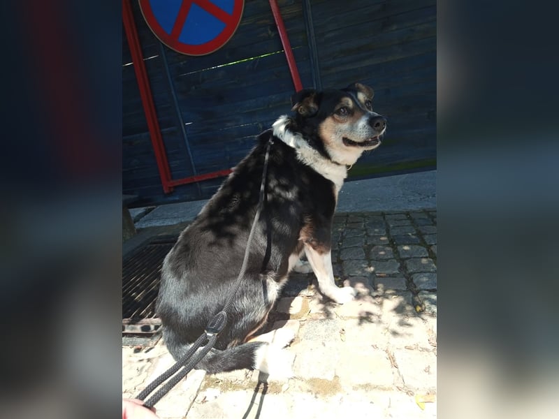 Waisenkinder Bobi und Mrki