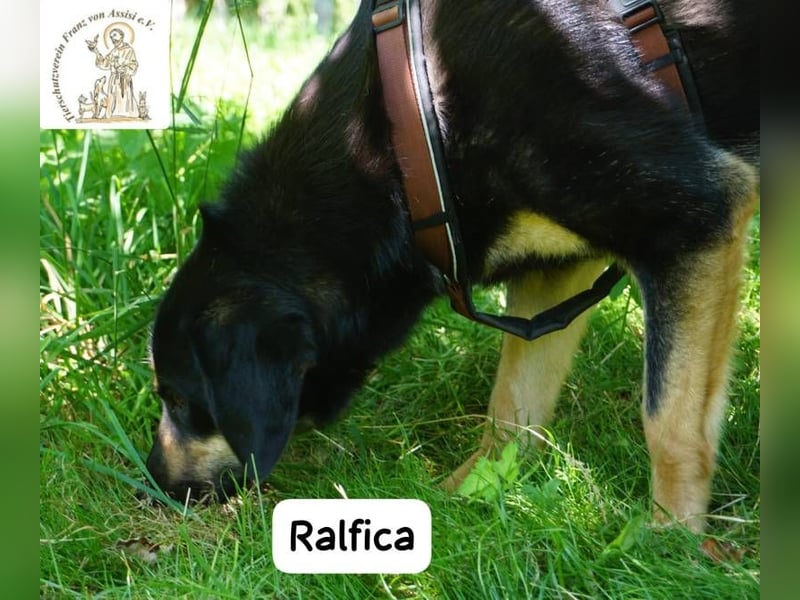 Ralfica – Nicht perfekt. Nicht außergewöhnlich. Aber genau RICHTIG!