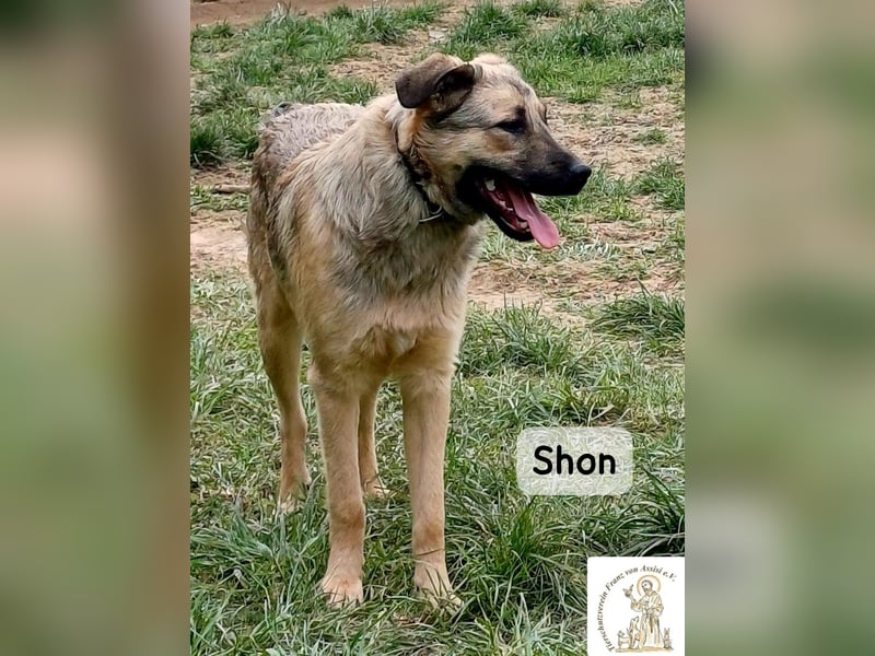 Shon – einmal lächeln, einmal verlieben, dann gemeinsam los ins Abenteuer!