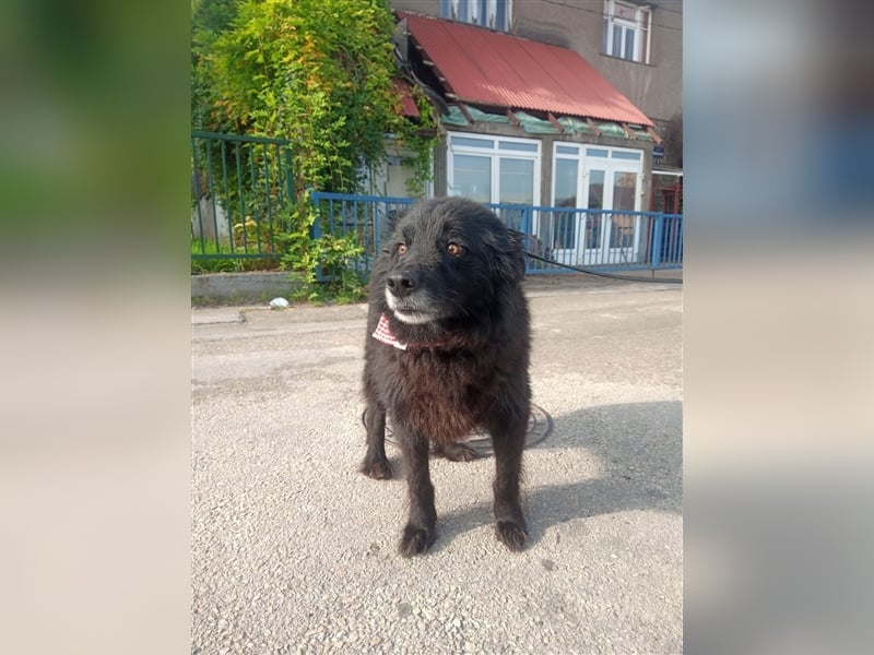 Waisenkinder Bobi und Mrki