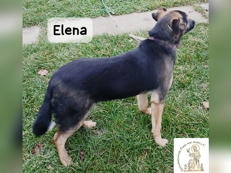 Elena – so sanft, als hätte sie das Leben schon verstanden!