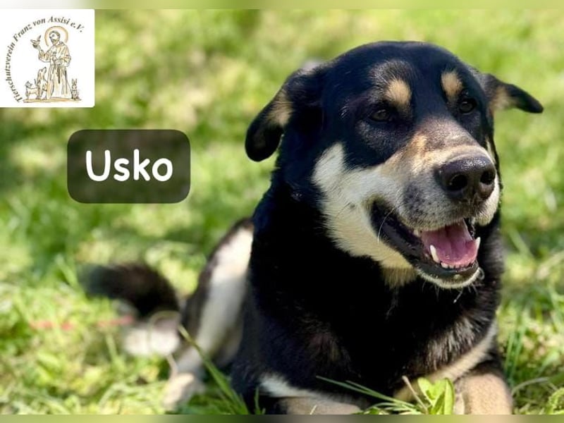 Usko – der, der lernen möchte, wie Leben wirklich geht!