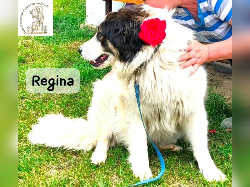 Regina – sie wollte nie allein sein!