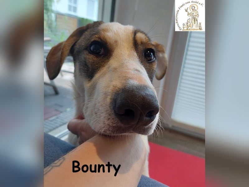 Bounty wird mutig und entdeckt die Welt
