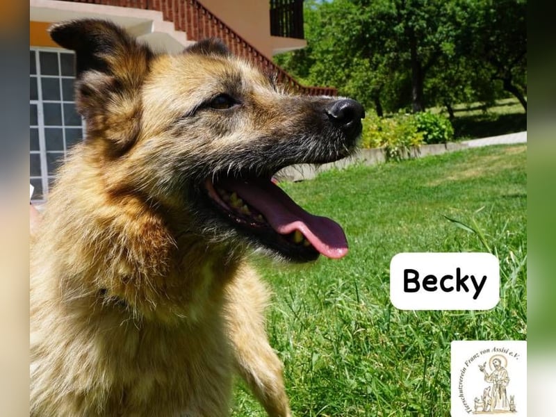 Becky – Eine Lady zum Verlieben, so schön wie das Leben selbst!
