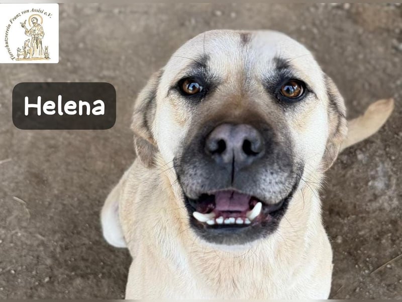 Helena – Schönheit mit Charakter und einem ganz besonderen Lächeln!