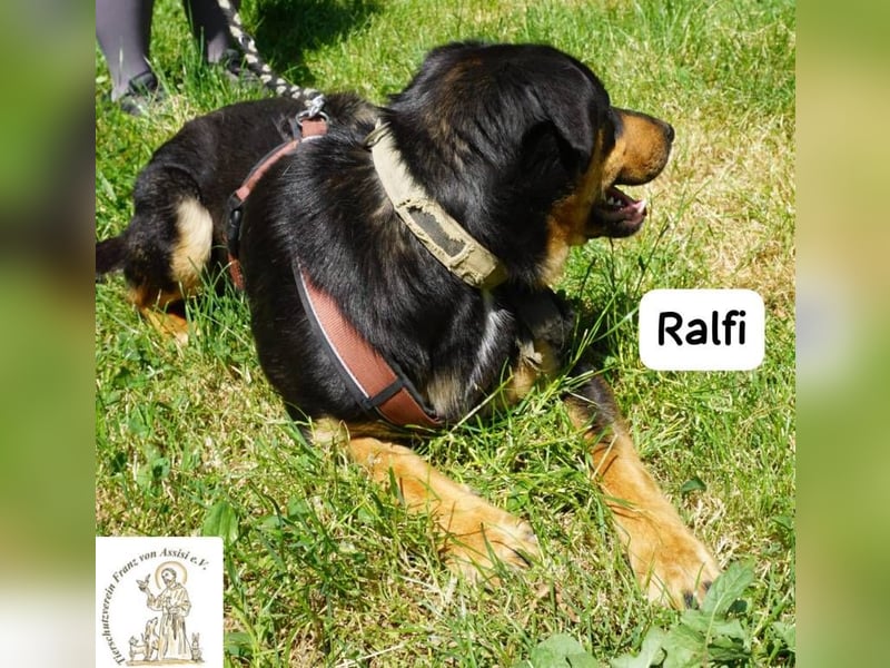 Ralfi – einer unter vielen, doch für dich einzigartig!