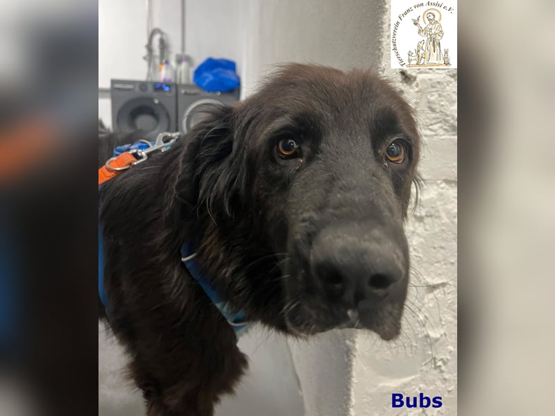 Bubs – zu zweit ist man nicht mehr allein