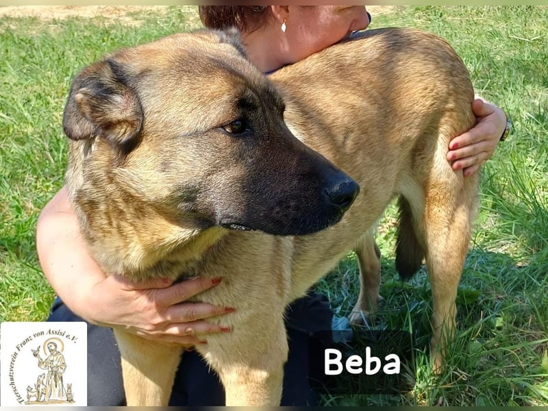 Beba – für Menschen, die das Echte suchen!