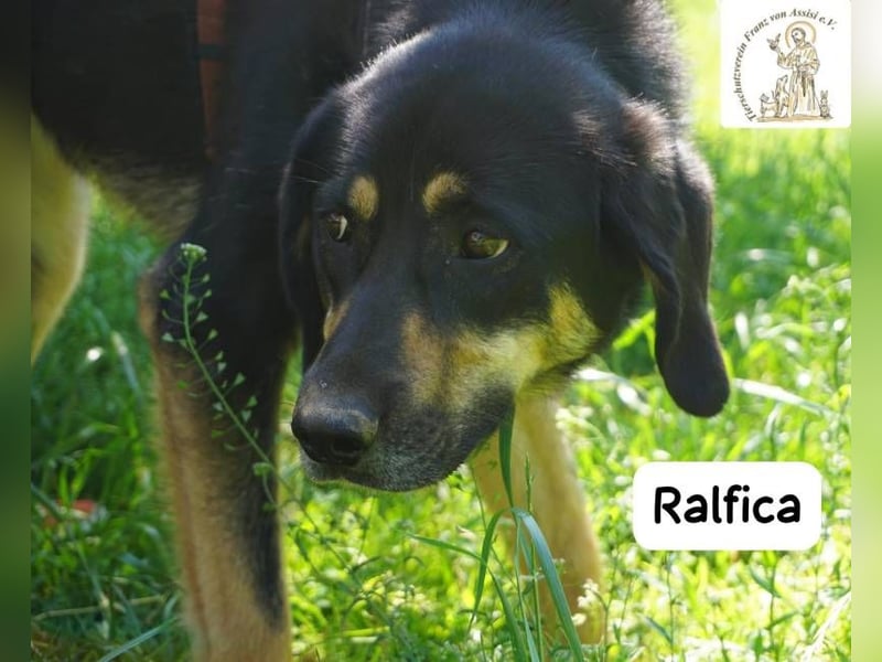 Ralfica – Nicht perfekt. Nicht außergewöhnlich. Aber genau RICHTIG!