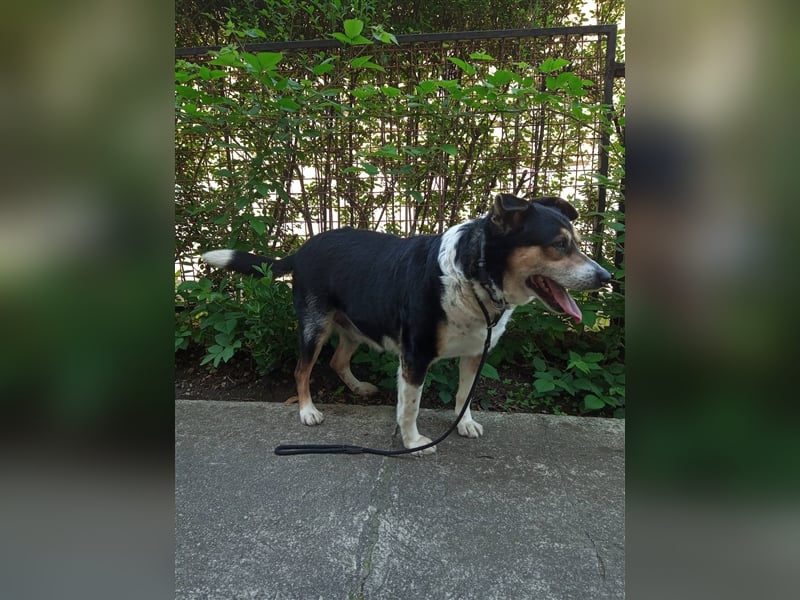 Waisenkinder Bobi und Mrki