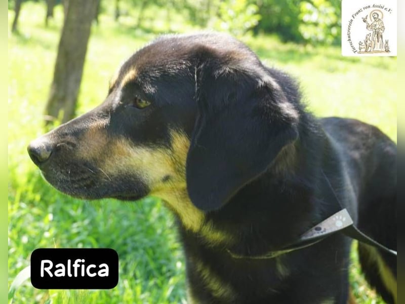 Ralfica – Nicht perfekt. Nicht außergewöhnlich. Aber genau RICHTIG!