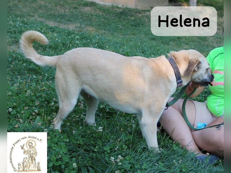 Helena – Schönheit mit Charakter & einem ganz besonderen Lächeln!