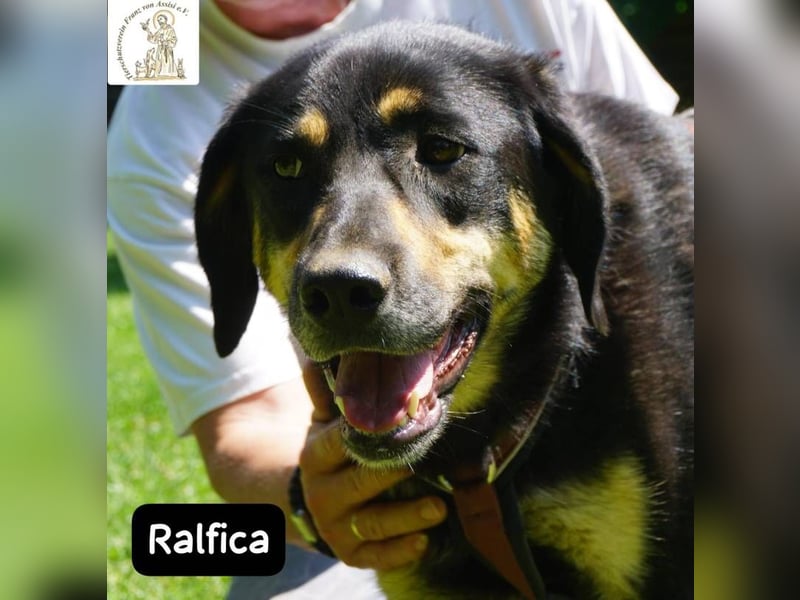 Ralfica – Nicht perfekt. Nicht außergewöhnlich. Aber genau RICHTIG!