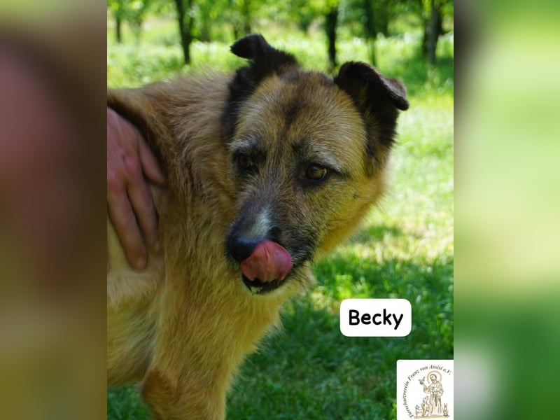 Becky – Eine Lady zum Verlieben, so schön wie das Leben selbst!
