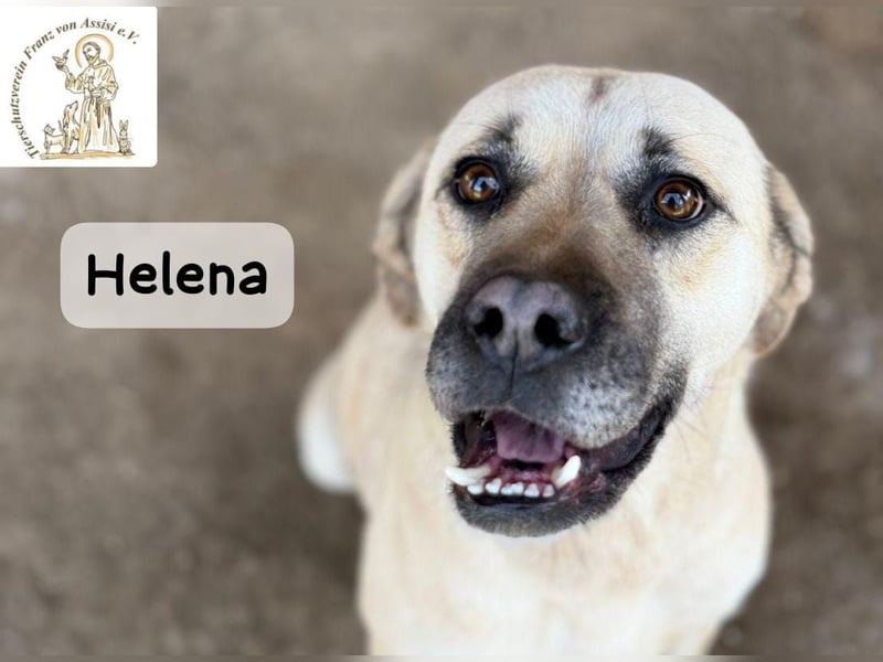 Helena – Schönheit mit Charakter und einem ganz besonderen Lächeln!